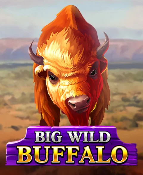 Play Big Wild Buffalo at Cherry Jackpot Casino